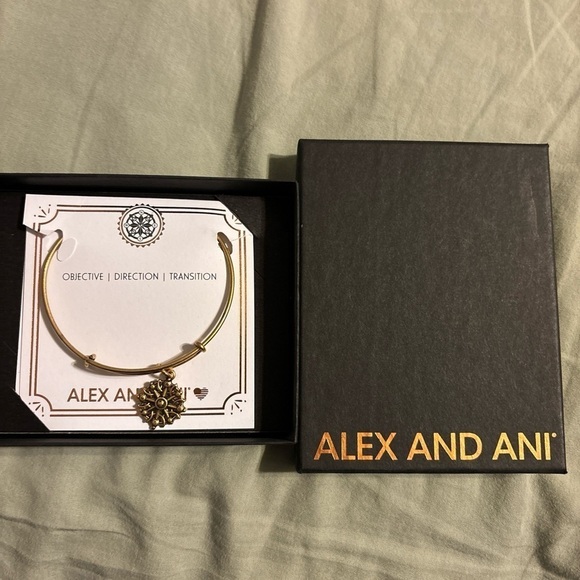 Alex and Ani Objective Direction Transition Compass Charm Bracelet New in Box - Picture 2 of 4